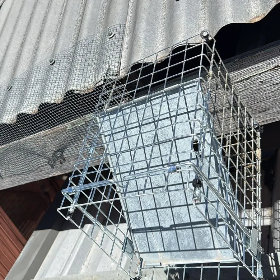 Wire one-way possum door fitted at the edge of a corrugated iron roof