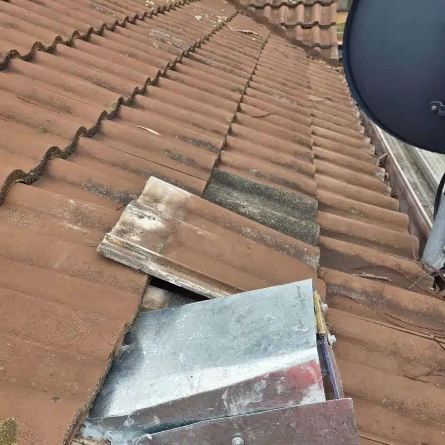 Metal one-way possum door flap fitted to a gap in terracotta roof tiles